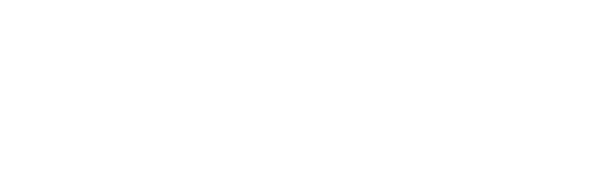 MAGNETHairPro CURL IRON