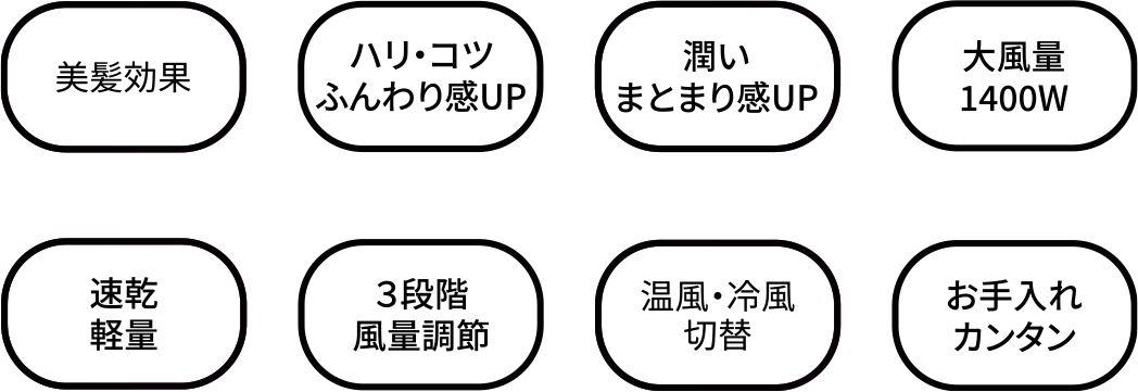 ホリスティックキュア ドライヤー アールピー