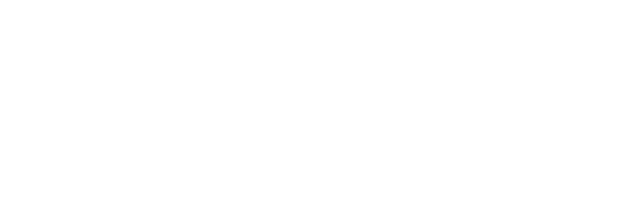 MAGNETHairProDRYER STRAIGHT IRON