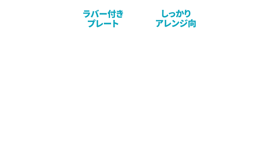 MAGNETHairProDRYER STRAIGHT IRON S